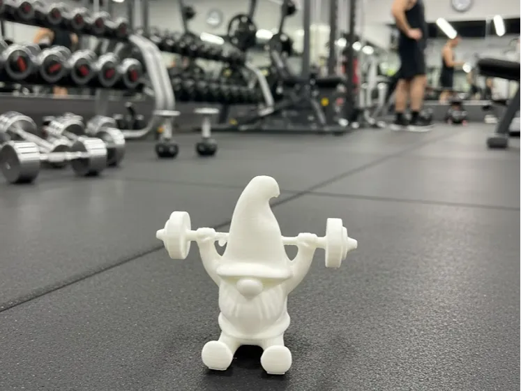 Gnomo Fitness