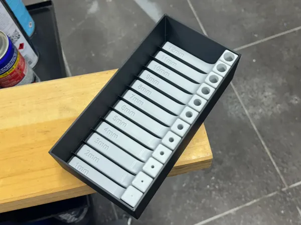 https://makerworld.bblmw.com/makerworld/model/US58dc19ca5ad8de/design/2025-06-07_4904d0ae0279a.jpg