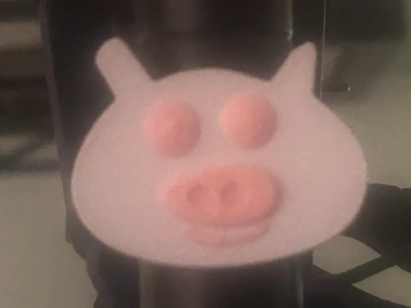 Used Pig Magnet & Resized & Added an 8x2mm hole