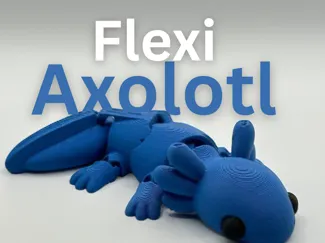 Flexi Axolotl Toy