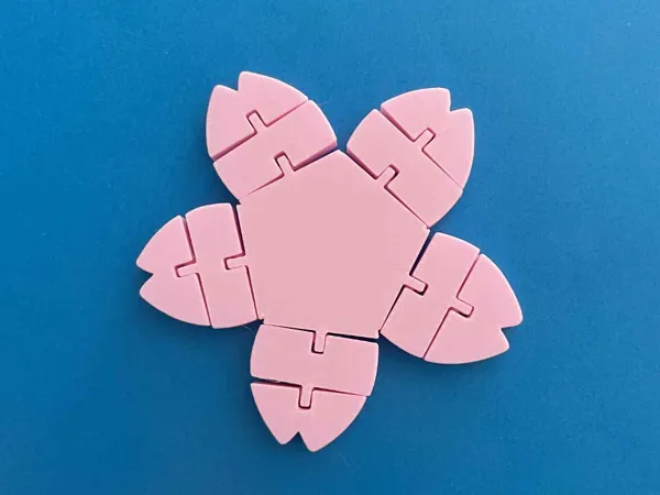 https://makerworld.bblmw.com/makerworld/model/US58e3a0b2fc5f8f/design/2025-06-06_405fbfe5d942b8.jpeg