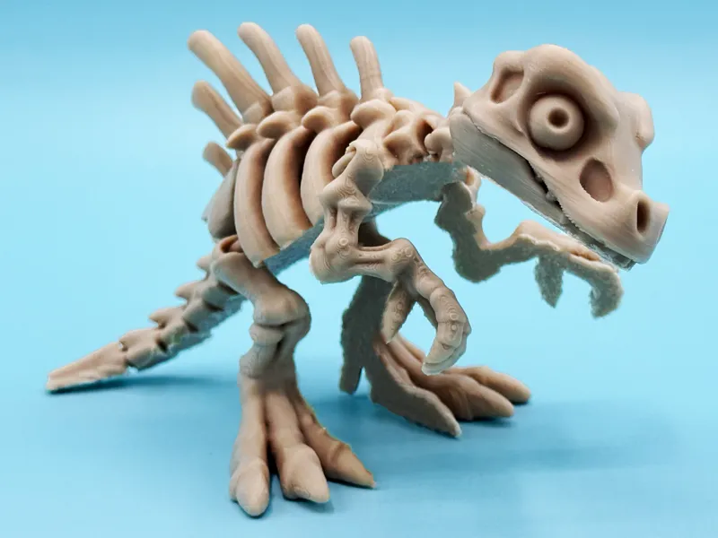 Articulated skeleton spinosaurus dinosaur