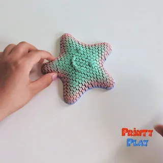 Flexi Playful Star