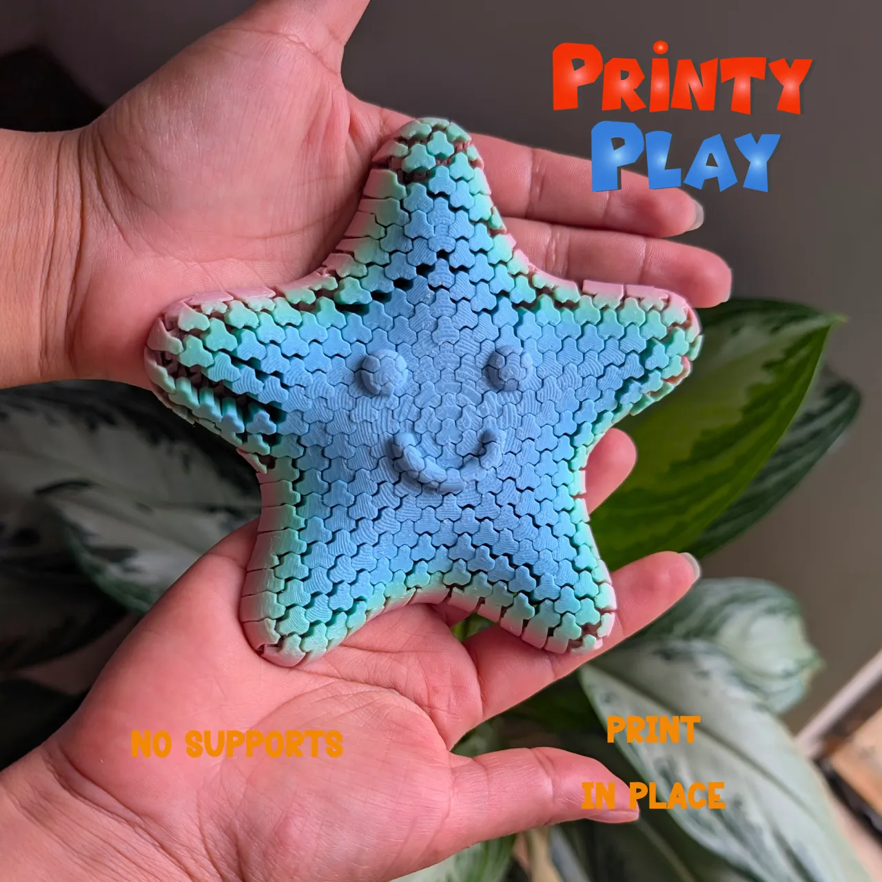 Flexi Playful Star view 3
