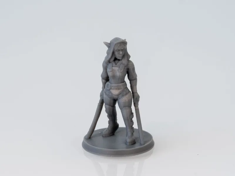 Shi'nae, Elf Dual-Wielding Rogue (Supportless)