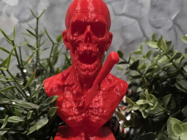 https://makerworld.bblmw.com/makerworld/model/US58edeeff8daaf1/design/2025-11-01_474c56751098d8.jpg