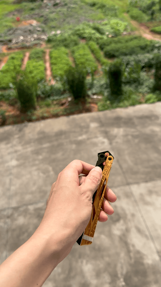 Miniatura 1 do modelo 3D 三角洲行动（影锋）