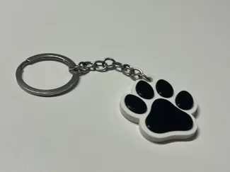 NFC PAW Keychain