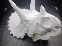 0.2mm layer, 2 walls, 5% infill