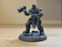 0.08mm layer, 2 walls, 15% infill