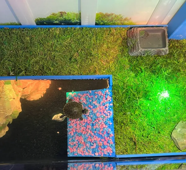 https://makerworld.bblmw.com/makerworld/model/US58f7882629eb80/design/2024-05-01_4a2278e44bb228.jpg