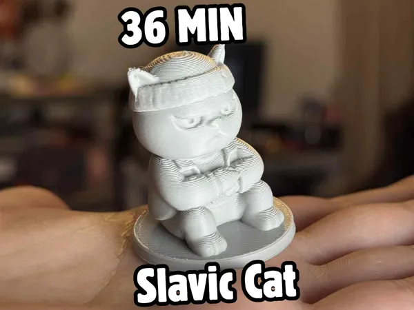 https://makerworld.bblmw.com/makerworld/model/US58f899de1821c3/design/2025-07-10_61663f5c307218.png