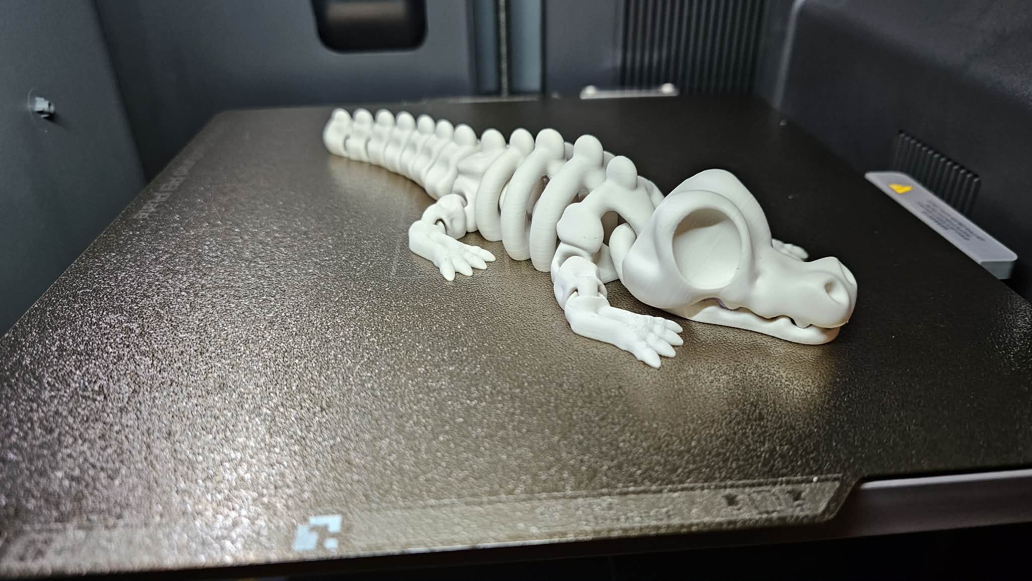 100% Skeleton Crocodile .2mm