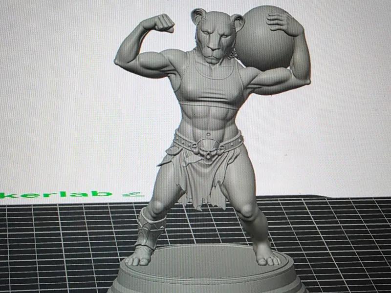 Warrior Lioness
