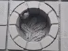 0.2mm nozzle, 0.06mm layer, 4 walls, 15% infill
