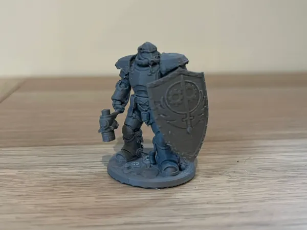 https://makerworld.bblmw.com/makerworld/model/US59013d3b37a332/design/f3866cfa46780ddf.jpeg