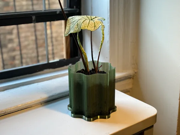 https://makerworld.bblmw.com/makerworld/model/US59016504a13d33/design/2025-08-10_ff83fa1bf6127.jpg