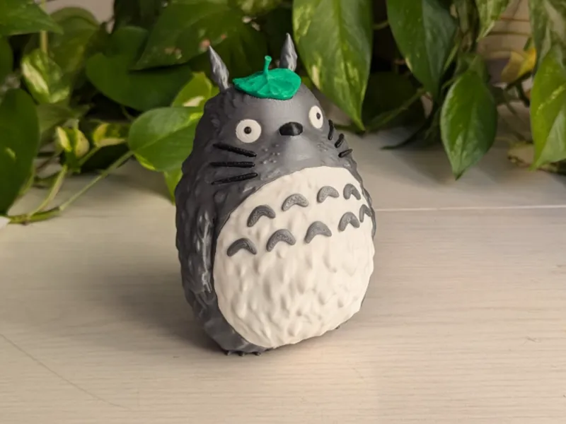 Totoro NO AMS