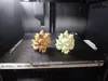 0.2mm layer, 2 walls, 7% infill
