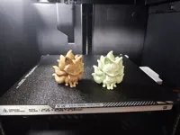 0.2mm layer, 2 walls, 7% infill