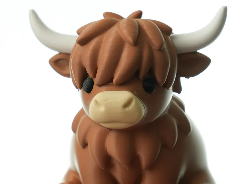 Highland Cow