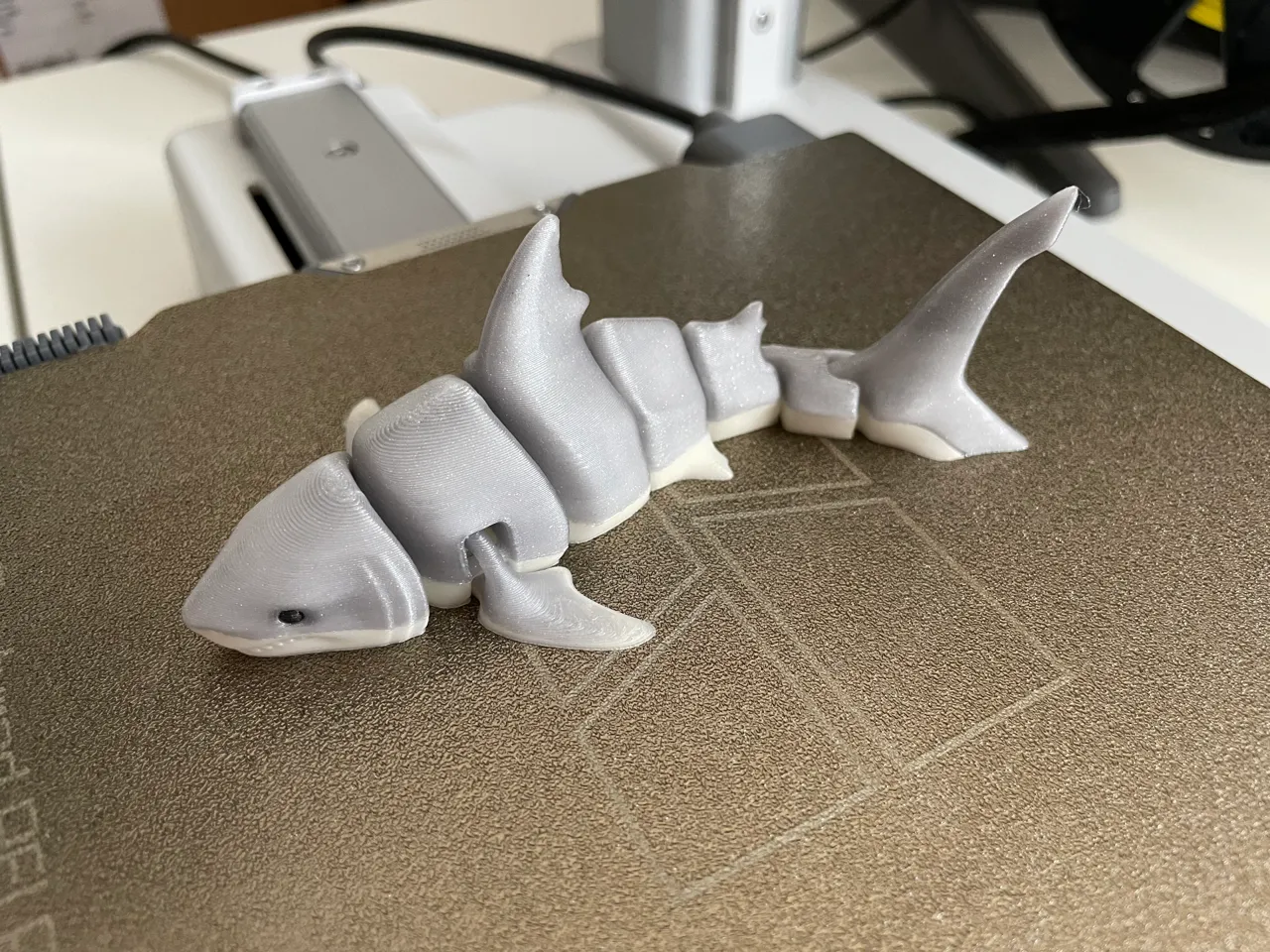 Articulated Great White shark view 4