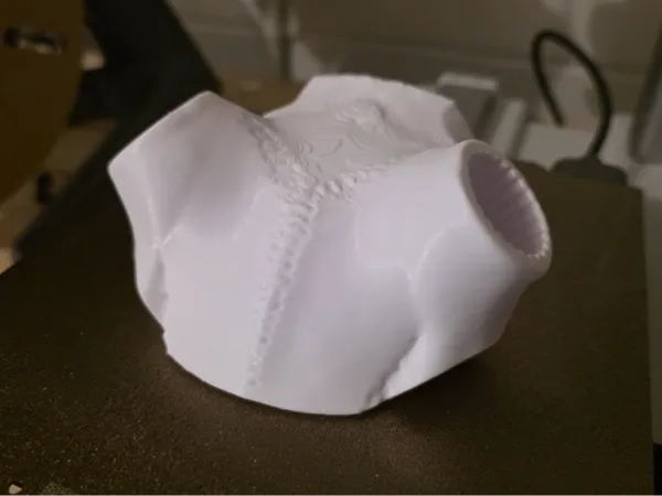 https://makerworld.bblmw.com/makerworld/model/US590e6249ec36c7/design/4b56054c952fa812.png