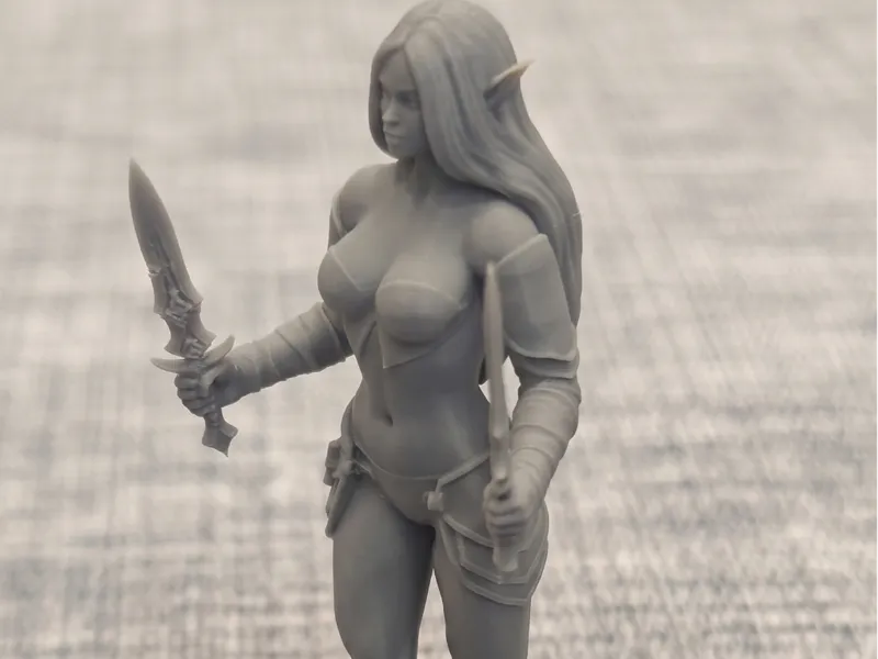 Elven Rogue Warrior