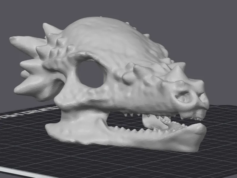 Dragon Skull
