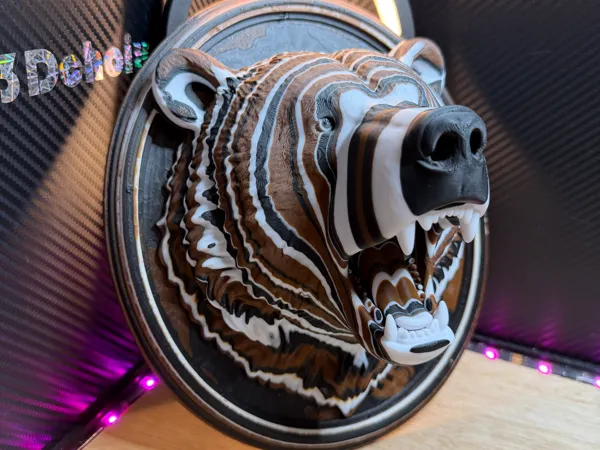 https://makerworld.bblmw.com/makerworld/model/US59112306aa8f4a/design/c7ff0c71cc330ab6.jpeg