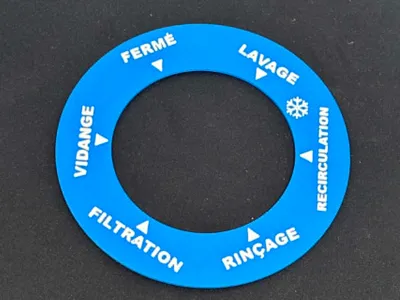 Pool multiport valve selection ring