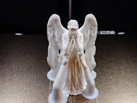 0.16mm layer, 2 walls, 8% infill, 13cm