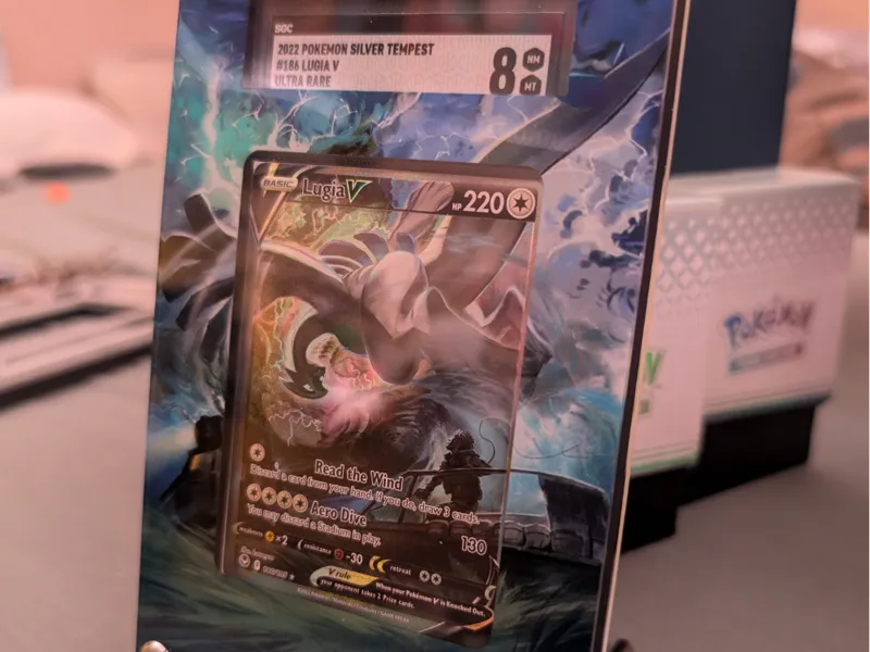 Kamizone SGC Slab Insert for PSA Frame