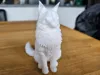 0.2mm layer, 2 walls, 10% infill