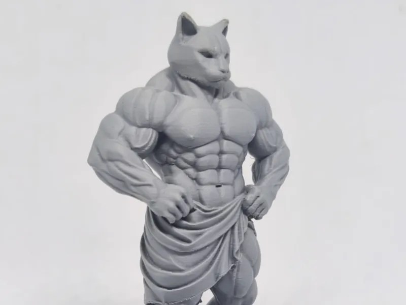 Greek Cat
