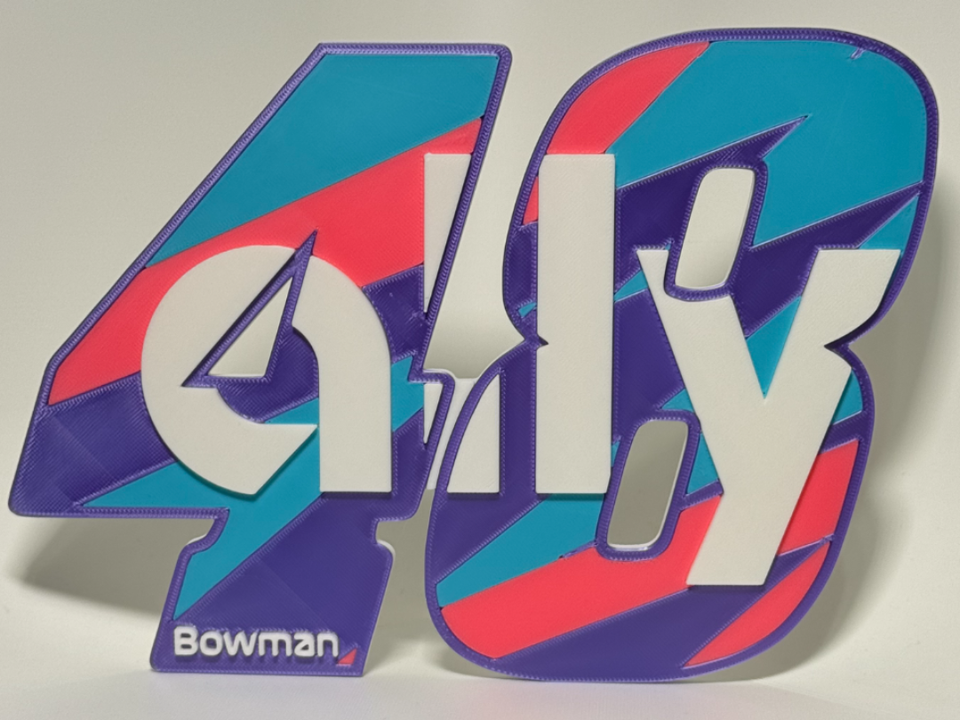 Alex Bowman 48 Ally Cheverolet NASCAR