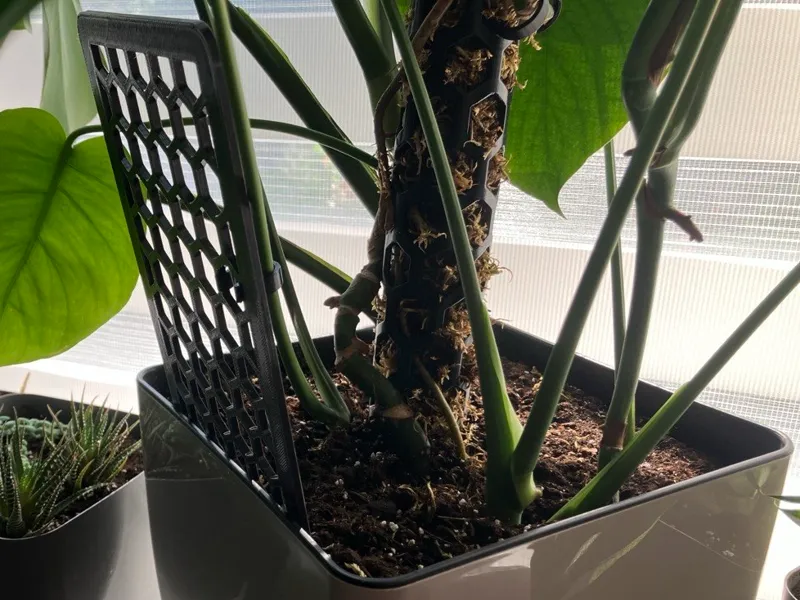 Honeycomb Plant Trellis Indoor Plant Support Stake
