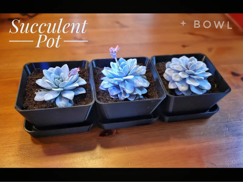 Flower pot with bowl -120x120mm - PETG recommended