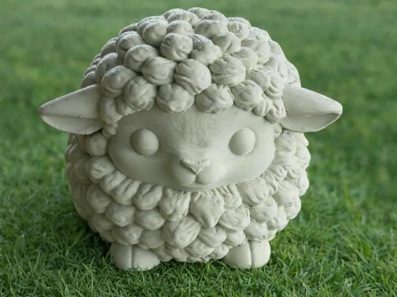 Sean Sheep
