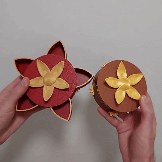 https://makerworld.bblmw.com/makerworld/model/US592a3b8e7e16de/design/2025-09-08_45ef569f69301.gif