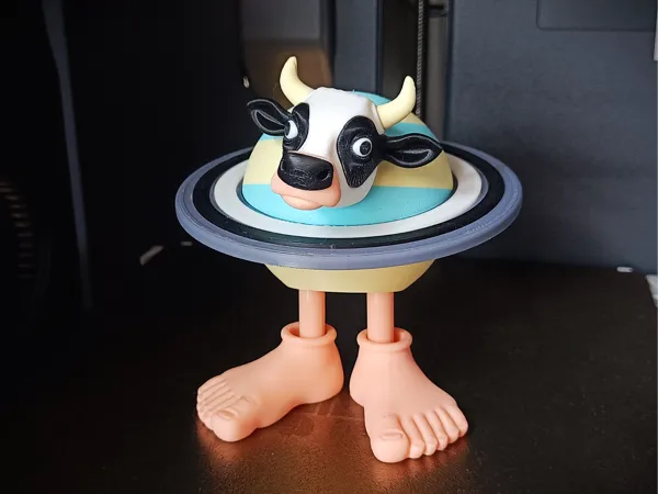 https://makerworld.bblmw.com/makerworld/model/US592abc07062257/design/2025-05-29_ae8e318c321c5.jpg