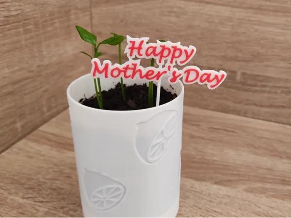 https://makerworld.bblmw.com/makerworld/model/US592f564b84ec45/design/2025-03-19_e52f57a93def2.jpg