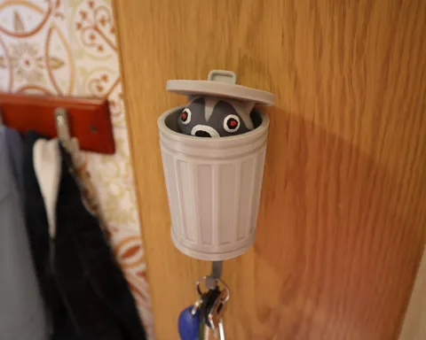 raccoon wall key holder