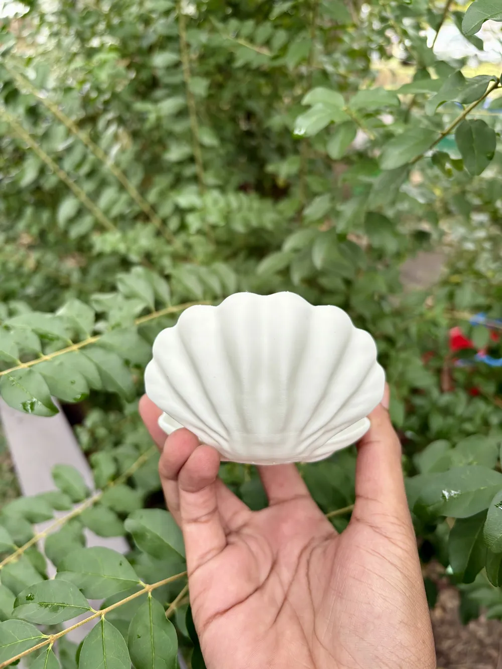 Coastal Clamshell Jewelry Tray with Pearl Accent - Free 3D Print Model ...