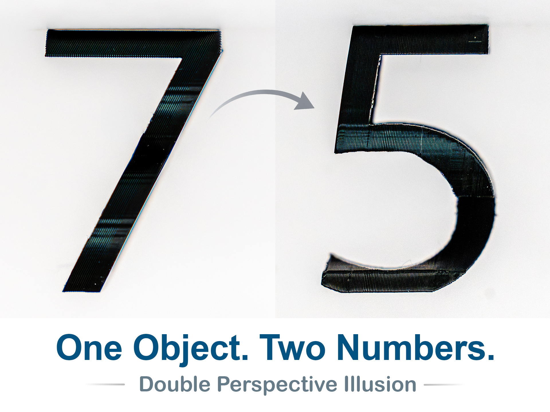 Number 75 Optical Illusion (10-99 available)