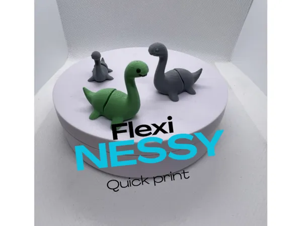 https://makerworld.bblmw.com/makerworld/model/US5938fb1bbd1899/design/dc3829a80817b731.png