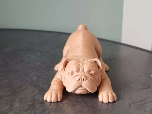 https://makerworld.bblmw.com/makerworld/model/US5939d2c0513d54/design/a7988bce860f9be0.jpg