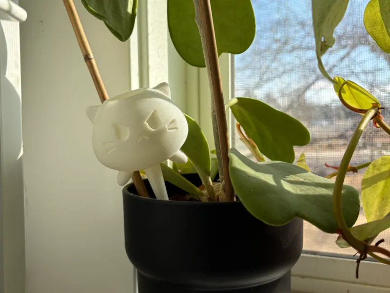 Self Watering Cat For Planters