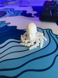 Baracktopus — photo 3