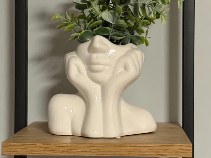 Modern Minimalist Planter Face 